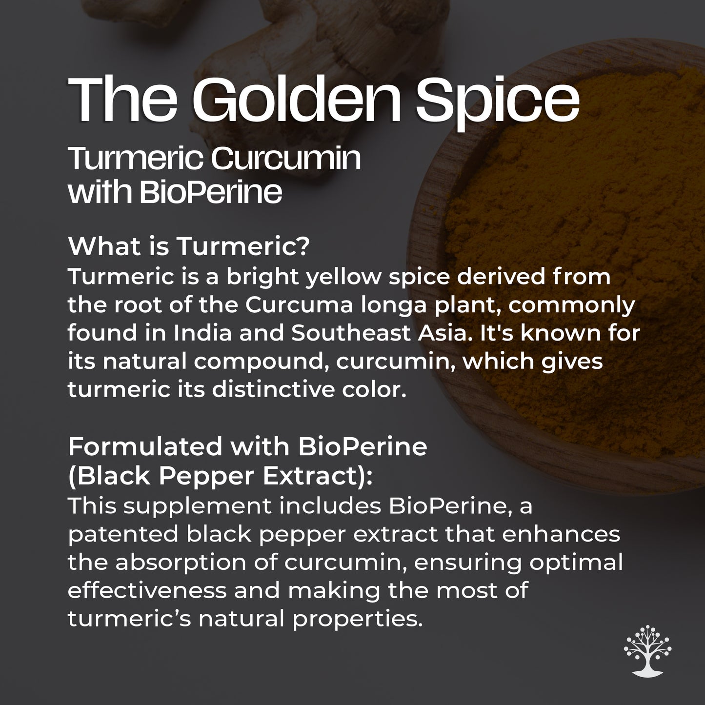 Turmeric Curcumin w/BioPerine