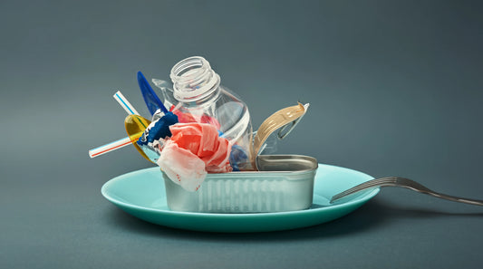 Plastics in our food supply ?
